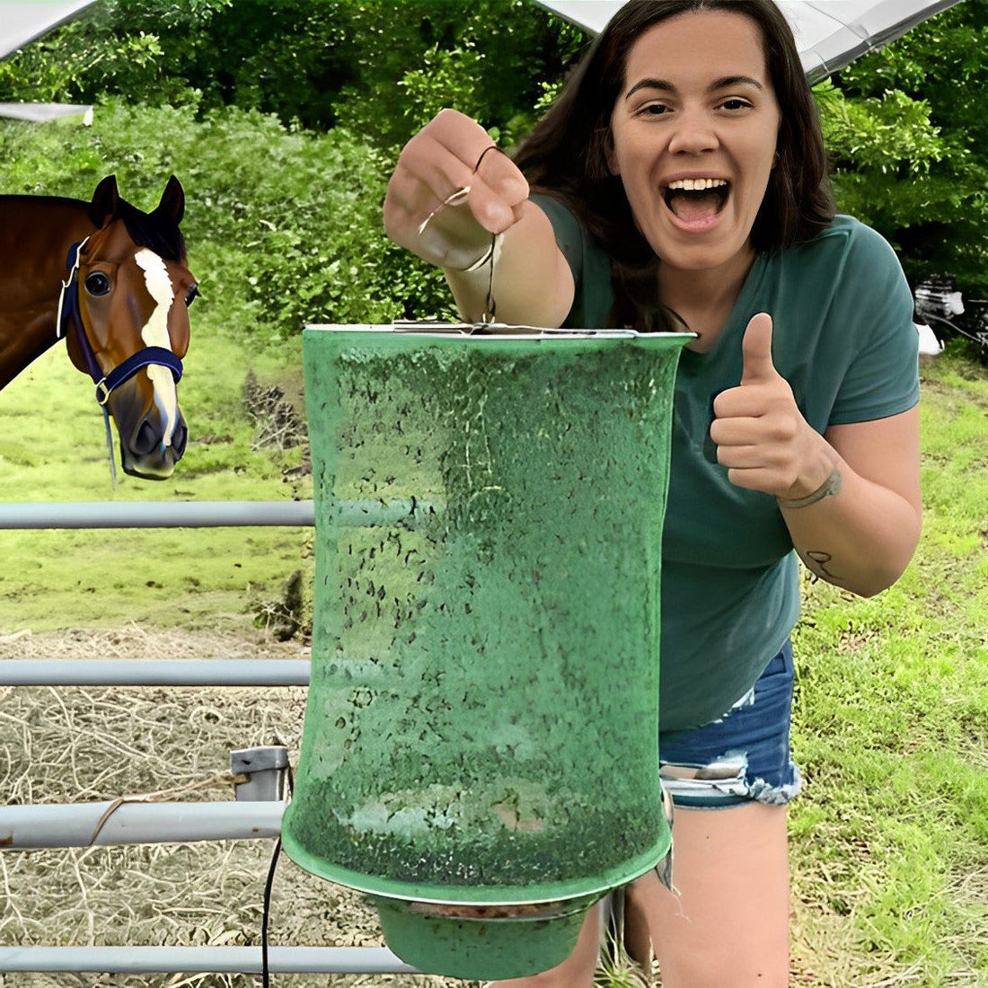 Stabiler Fliegenfänger