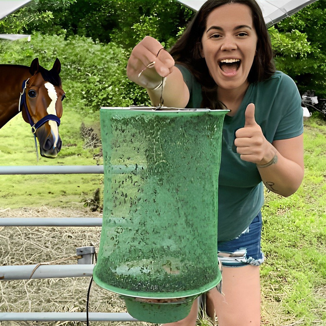 Stabiler Fliegenfänger