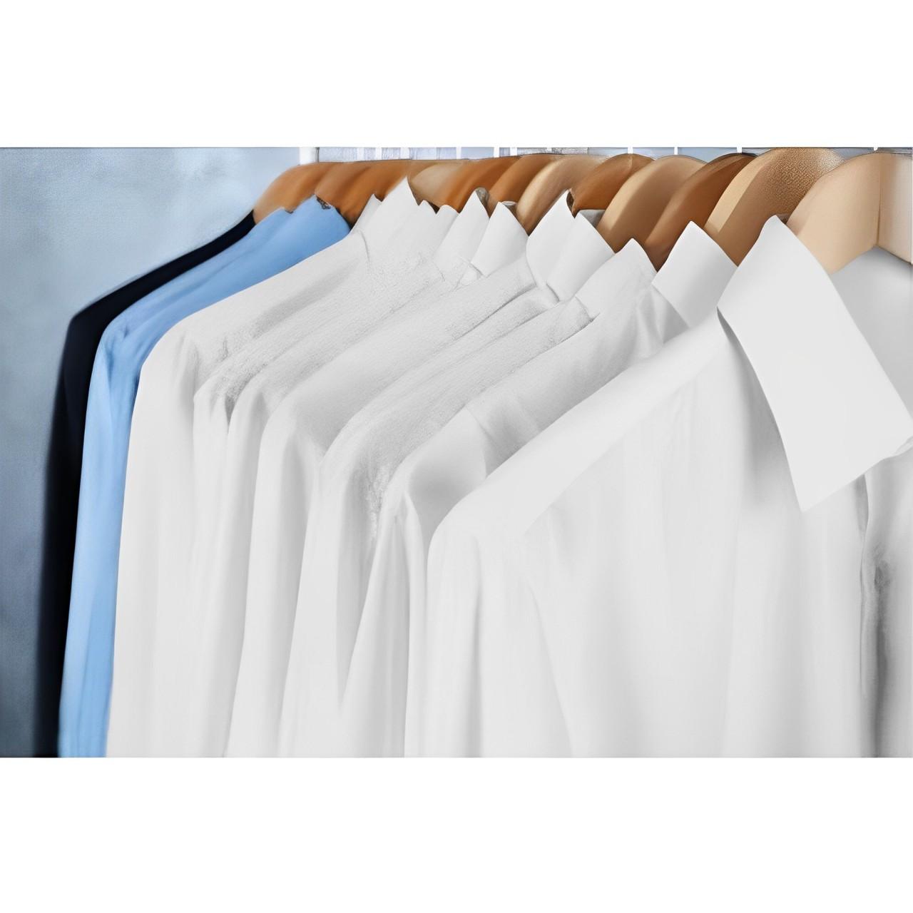 Tragbares Dampfbügeleisen &amp; Dampfgarer, schnell aufheizend, für alle Stoffe, Reise