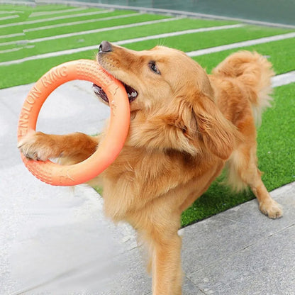 Kauring für Hunde – Wasserfestes Hundespielzeug zum Kauen &amp; Apportieren