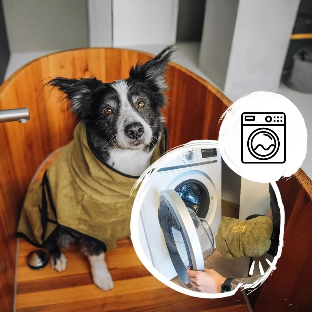 Hunde Bademantel aus Frottee-Baumwolle | Saugstark &amp; waschbar