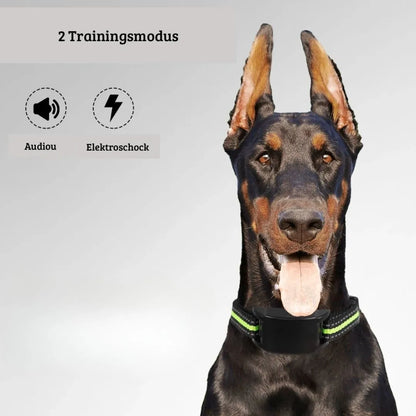 Anti Bell Halsband für Hunde ohne Strom mit Vibration