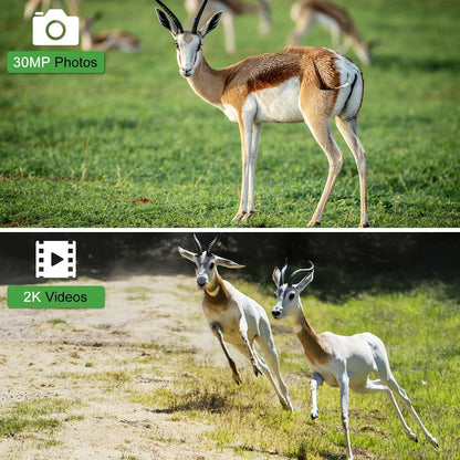 30MP 4G LTE Drahtlose Jagdkamera, 2.4 Farbdisplay, Infrarot-Nachtsicht, Outdoor-Wildtier- &amp; Landwirtschaftssicherheit