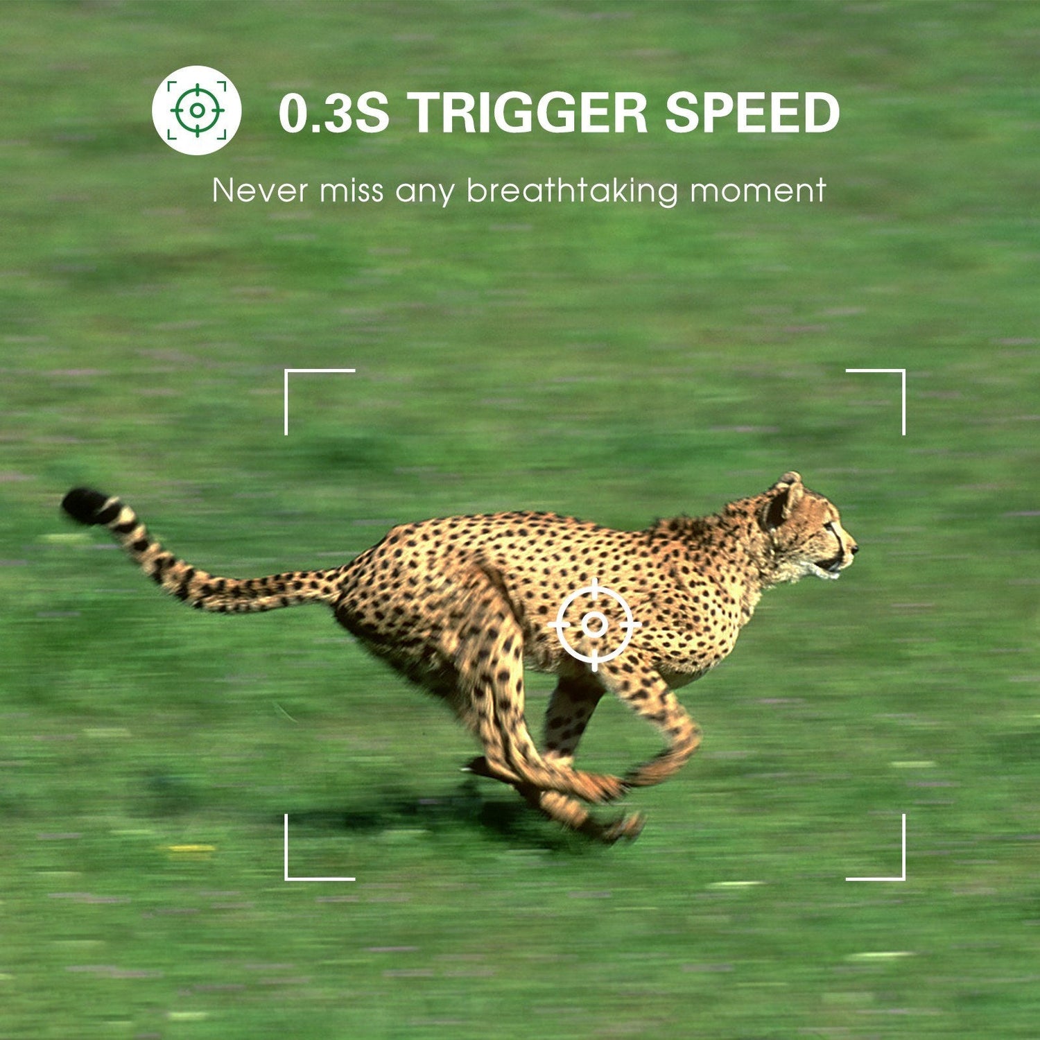 30MP 4G LTE Drahtlose Jagdkamera, 2.4 Farbdisplay, Infrarot-Nachtsicht, Outdoor-Wildtier- &amp; Landwirtschaftssicherheit