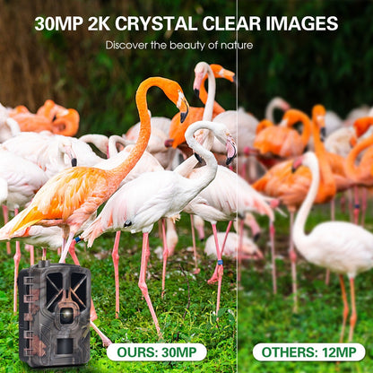 30MP 4G LTE Drahtlose Jagdkamera, 2.4 Farbdisplay, Infrarot-Nachtsicht, Outdoor-Wildtier- &amp; Landwirtschaftssicherheit