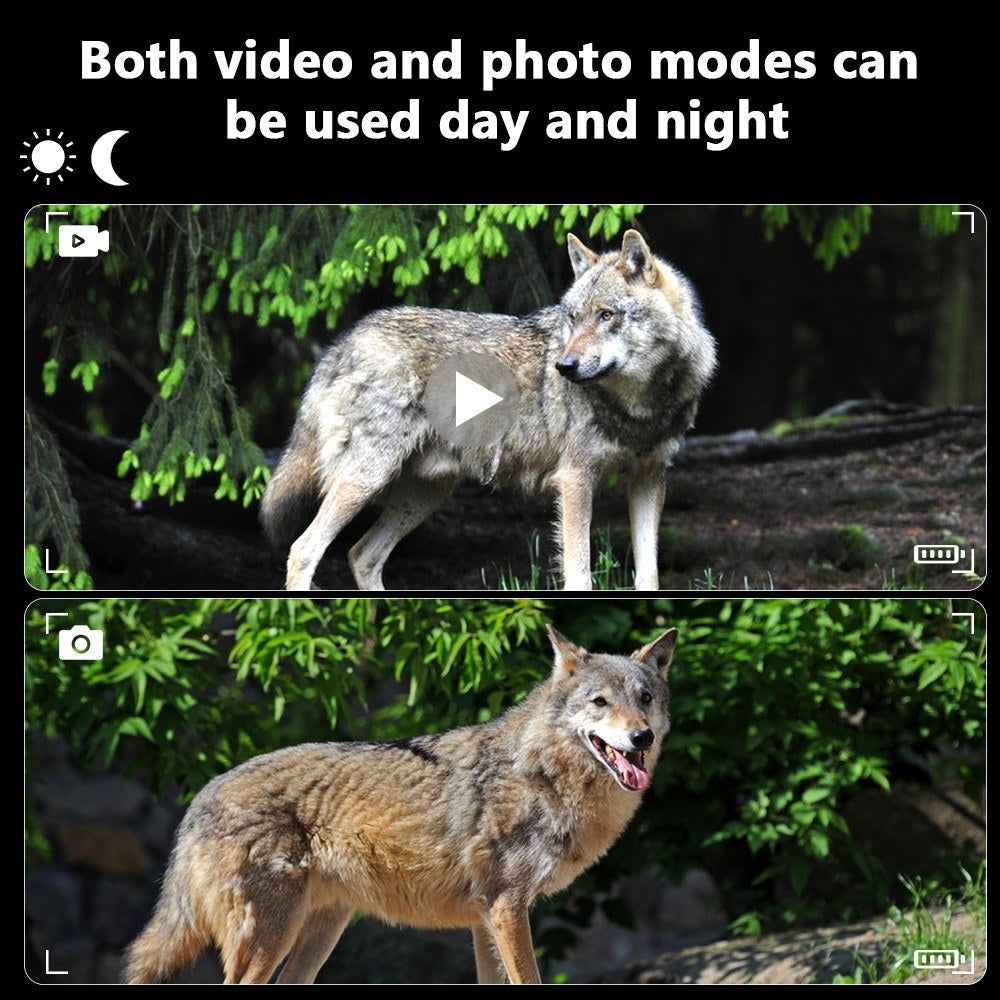Wasserdichte IP65 Nachtsichtferngläser mit Kamera, 4X Optisch &amp; 8X Digitalzoom, 3 LCD, 2.5K Video, 3W IR für Jagd &amp; Outdoor