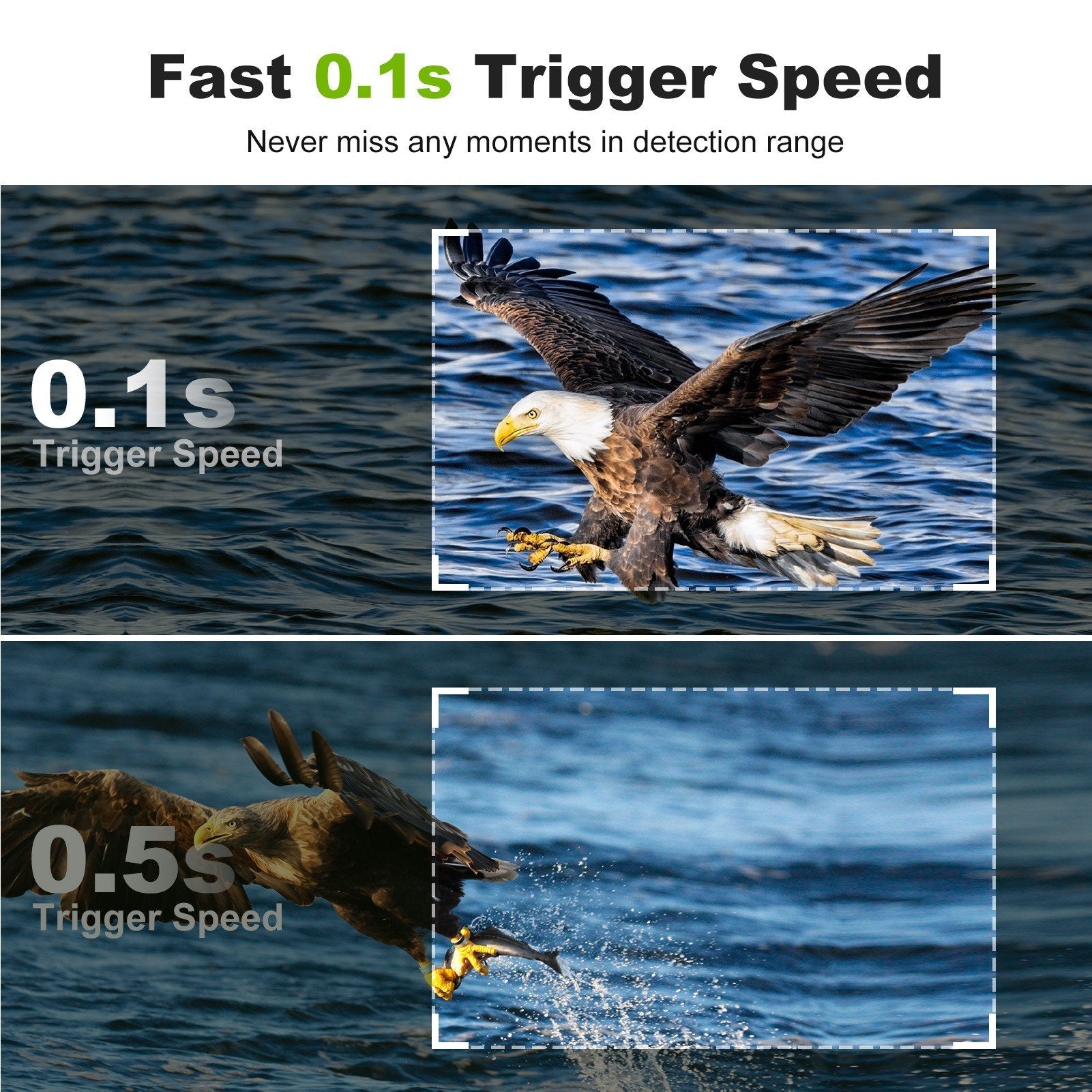 32MP WiFi Jagd- &amp; Trail-Kamera: Hochauflösende Tierbeobachtung, Infrarot, IP66 wasserdicht, PIR-Bewegungserkennung