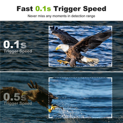 32MP WiFi Jagd- &amp; Trail-Kamera: Hochauflösende Tierbeobachtung, Infrarot, IP66 wasserdicht, PIR-Bewegungserkennung