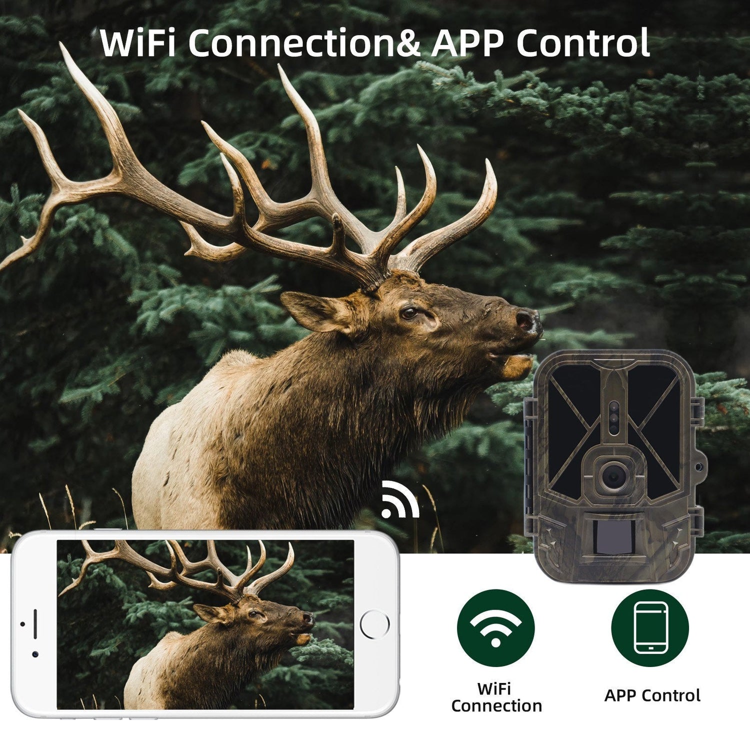 4K WiFi Trail-Kamera - Drahtlose Jagdkamera mit PIR-Sensor &amp; Nachtsicht