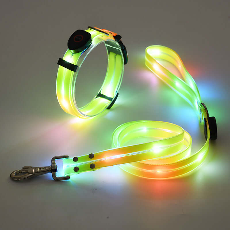 LED Hundehalsband mit Leine - Sicher &amp; Sichtbar