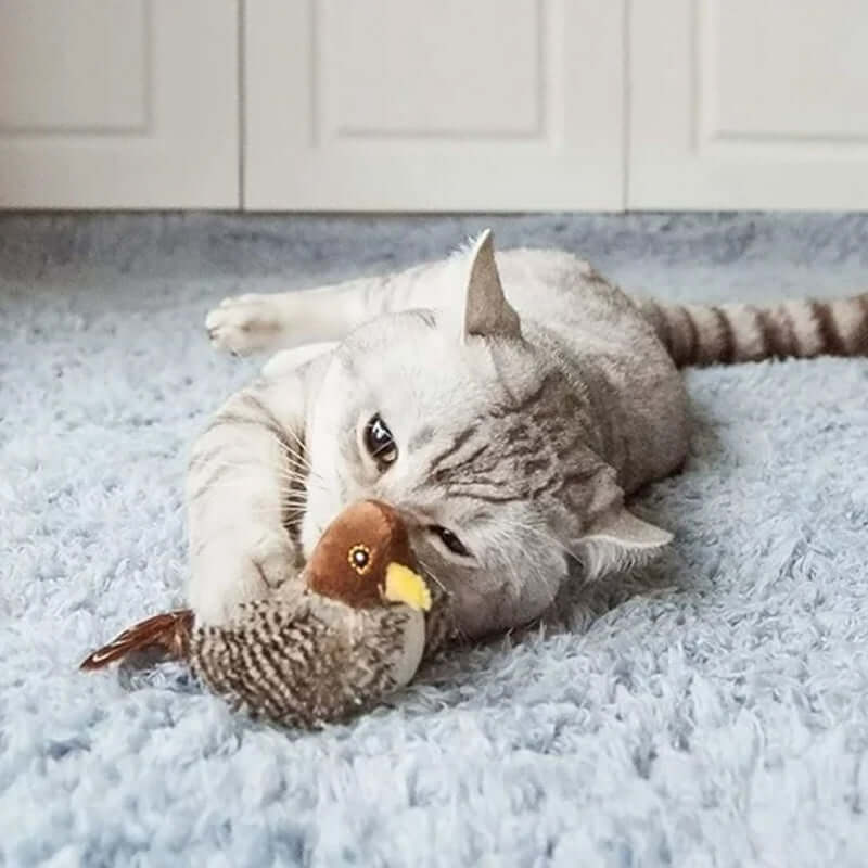 Interaktives Katzenspielzeug Vogel mit Geräuschen