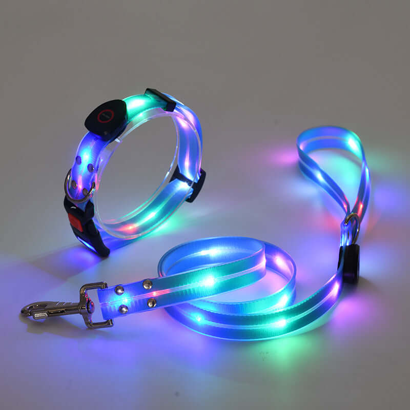 LED Hundehalsband mit Leine - Sicher &amp; Sichtbar