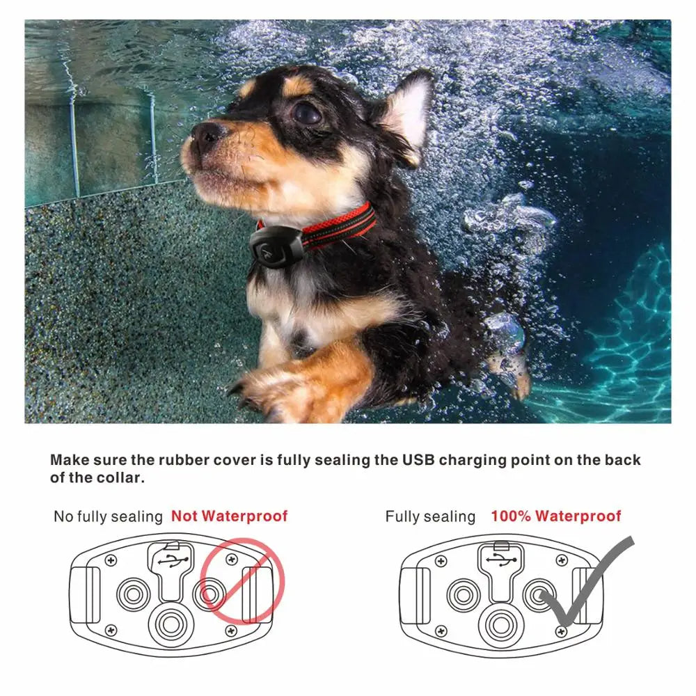 2 in 1 Hundetraining Halsband &amp; Anti-Bell Halsband