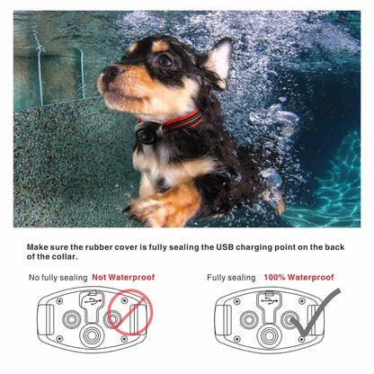 2 in 1 Hundetraining Halsband &amp; Anti-Bell Halsband