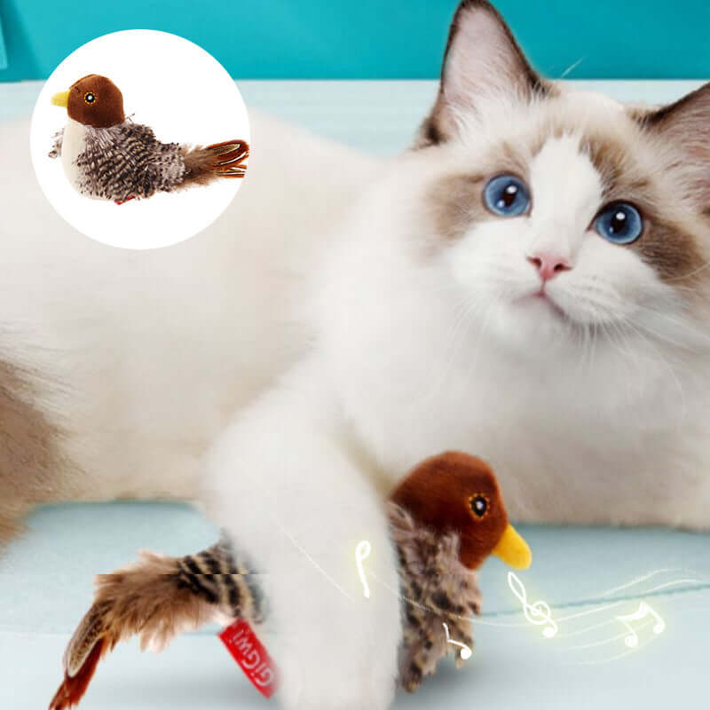 Interaktives Katzenspielzeug Vogel mit Geräuschen