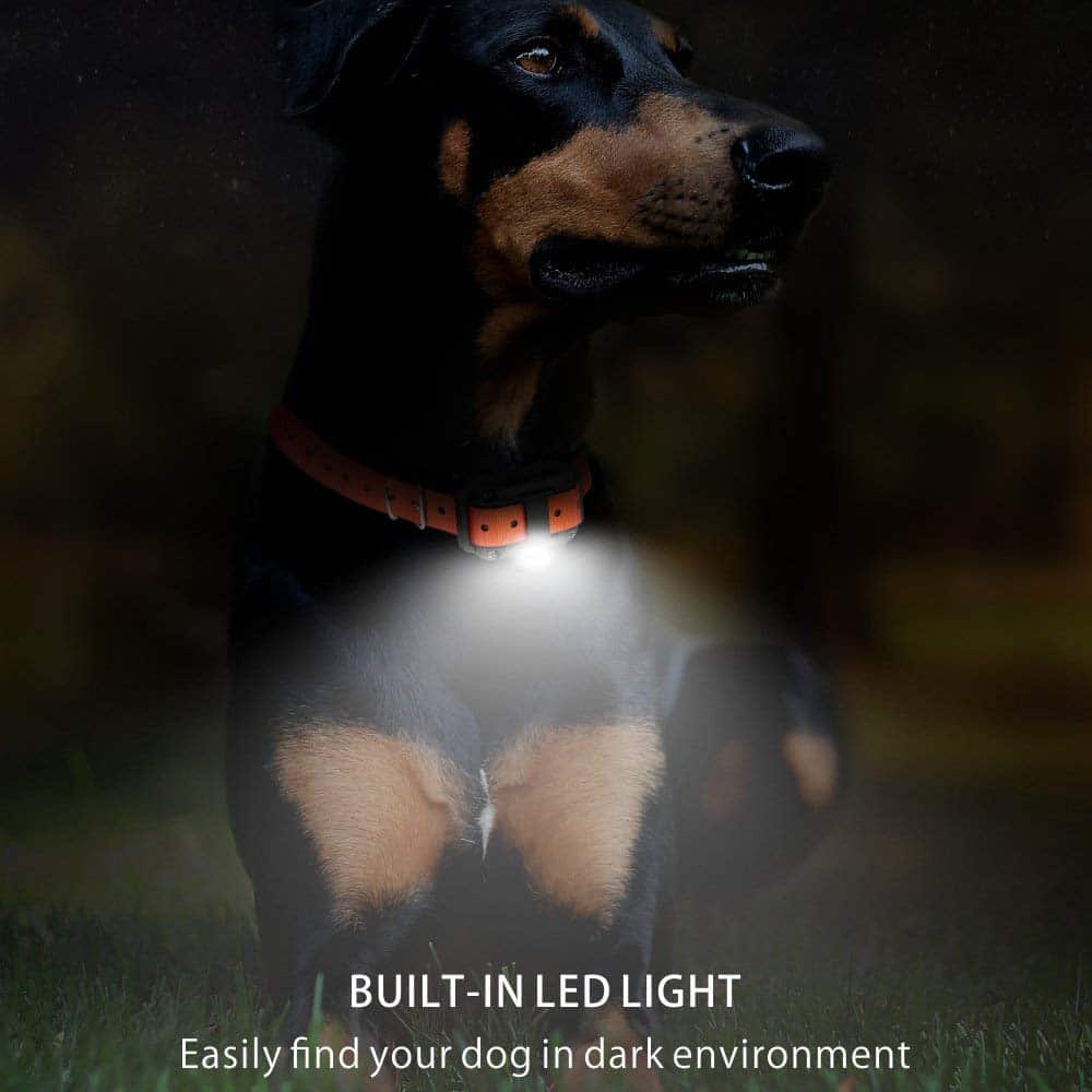 Elektrisches Hundetrainingshalsband 800M Reichweite