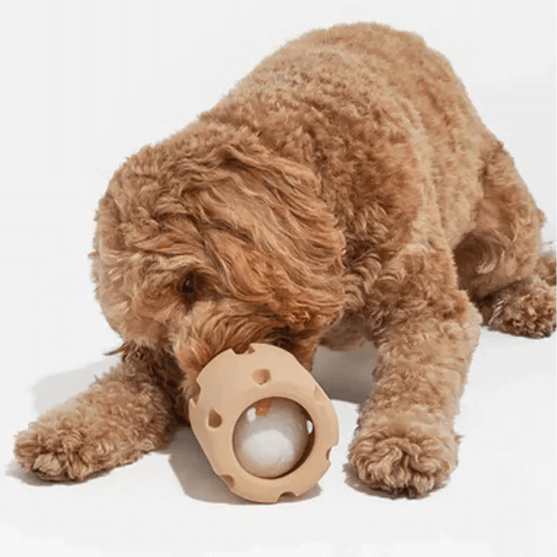 Hundespielzeug Springball für Zahnpflege &amp; Spielspaß
