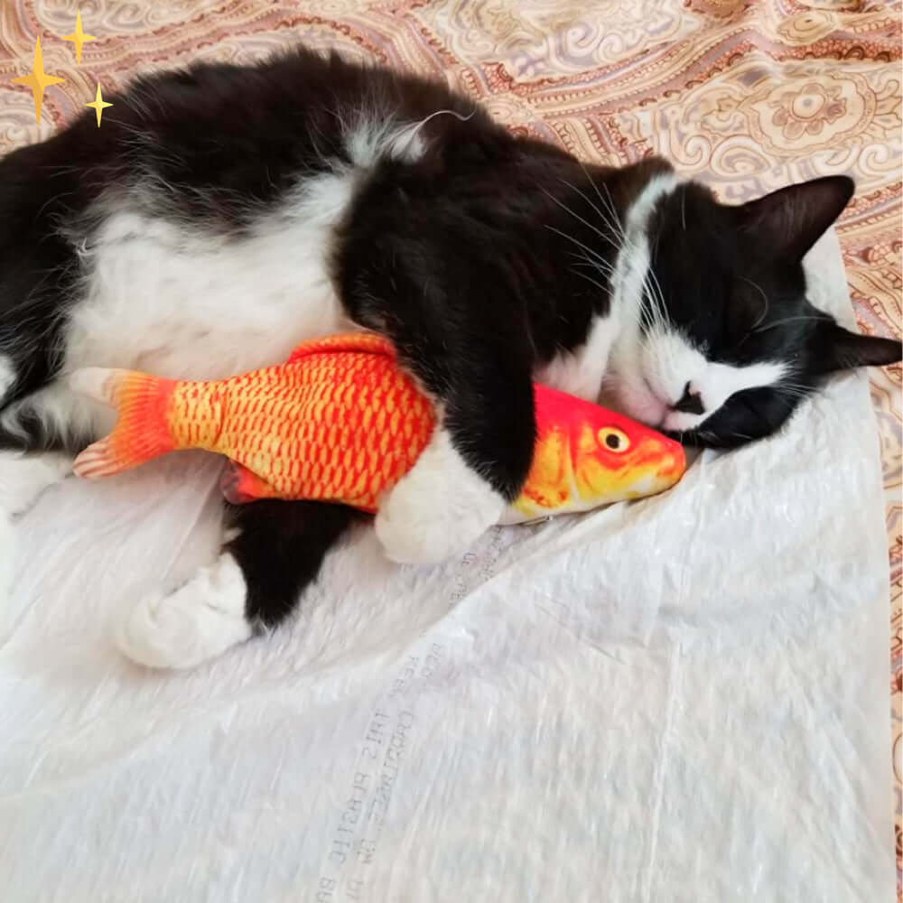 Interaktives Katzenspielzeug Set - 4 Bewegliche Fische