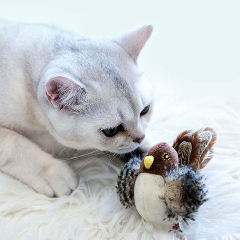 Interaktives Katzenspielzeug Vogel mit Geräuschen