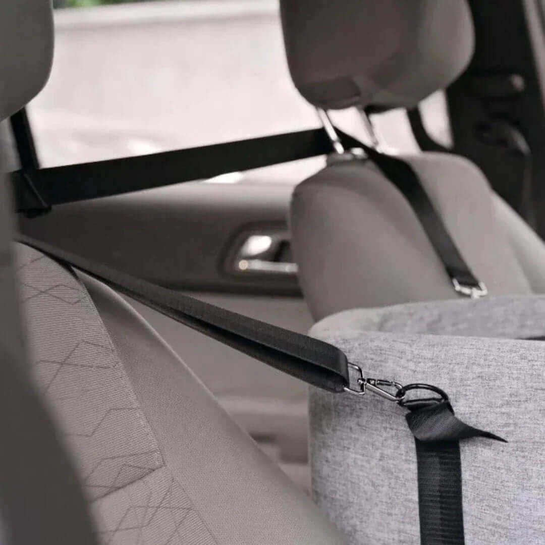 Erhöhter Autositz für Hunde bis 11kg