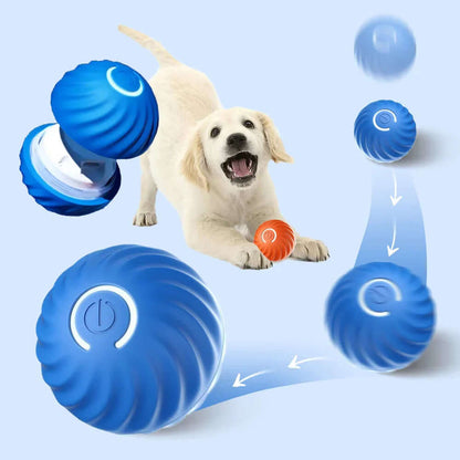 Interaktives Rollendes Hundespielzeug