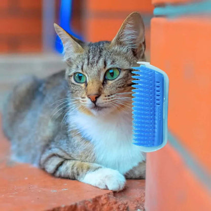 Katzen-Selbstpflegebürste für die Ecke