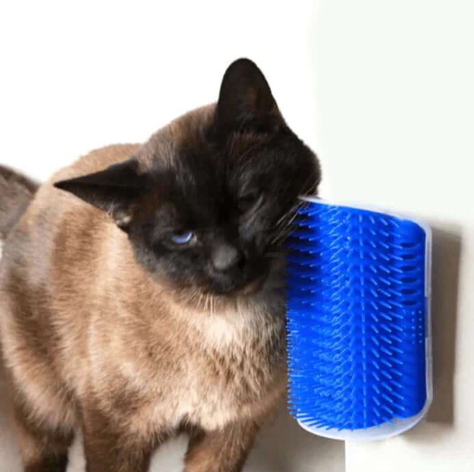 Katzen-Selbstpflegebürste für die Ecke