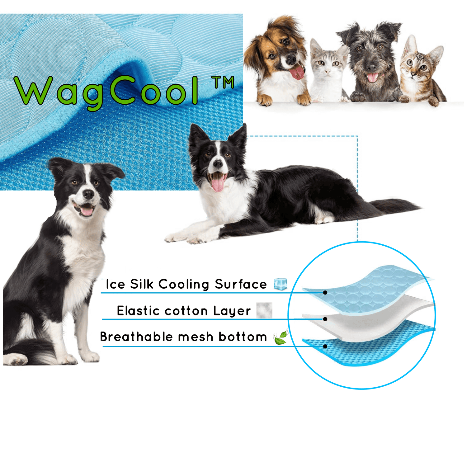 Kühlmatte für Hunde &amp; Katzen - Selbstkühlend