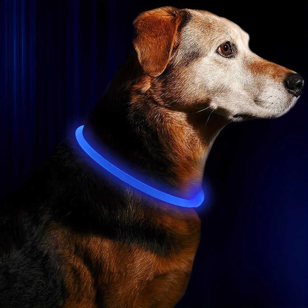 LED-Hundehalsband – Sicherheit &amp; Komfort | USB-Licht