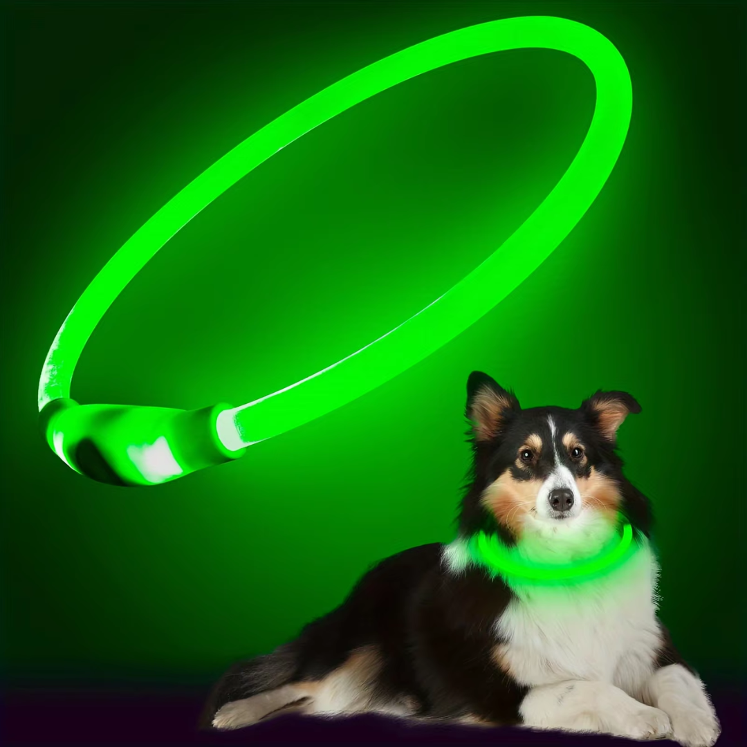 LED-Hundehalsband – Sicherheit &amp; Komfort | USB-Licht