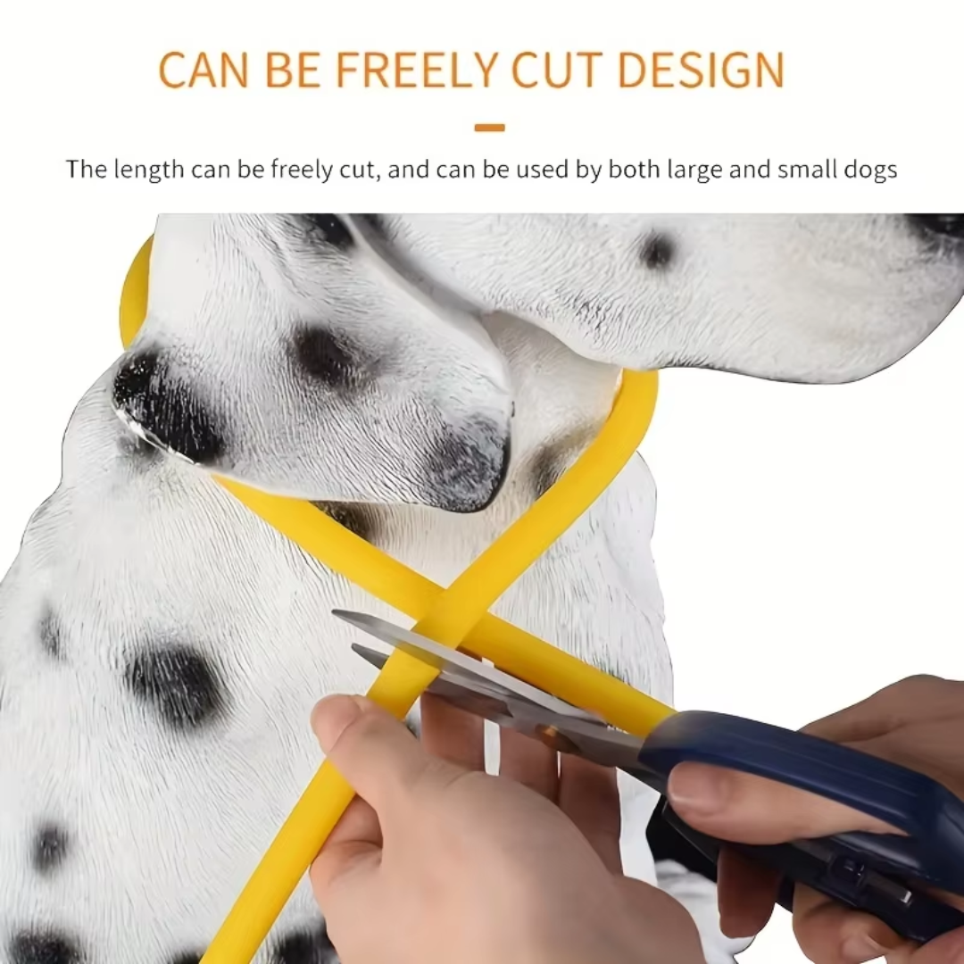 LED-Hundehalsband – Sicherheit &amp; Komfort | USB-Licht