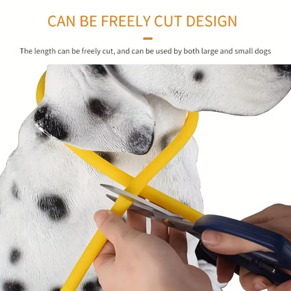 LED-Hundehalsband – Sicherheit &amp; Komfort | USB-Licht