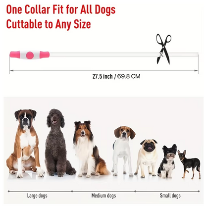 LED-Hundehalsband – Sicherheit &amp; Komfort | USB-Licht