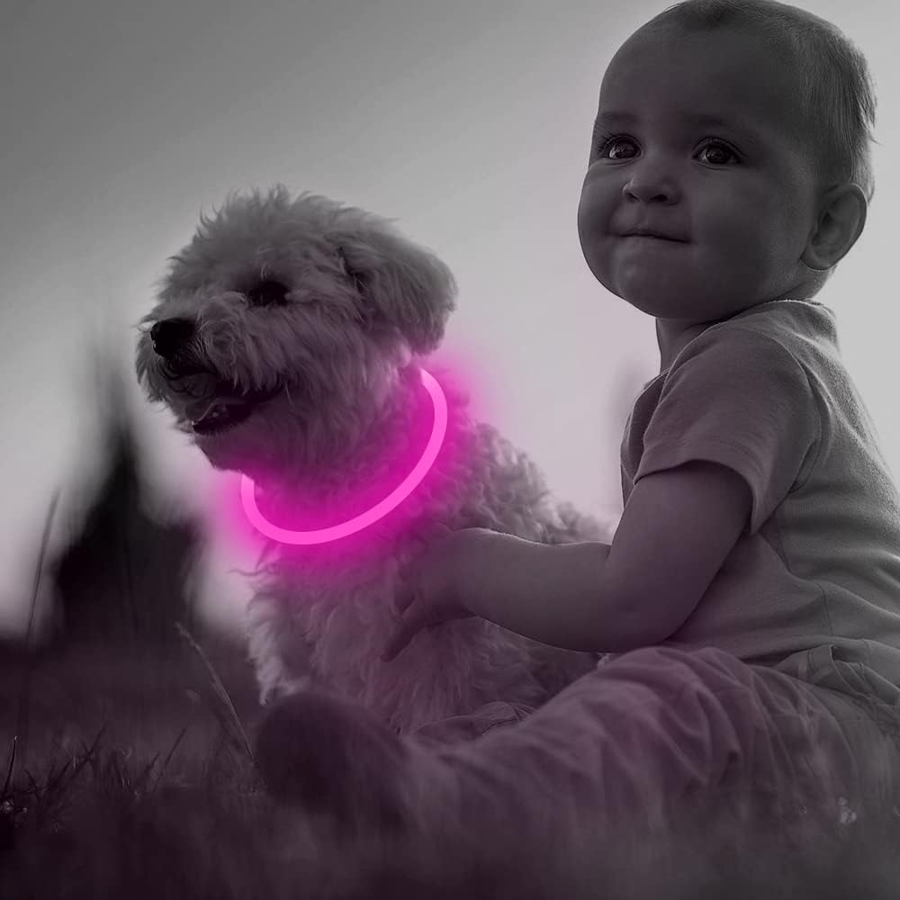 LED-Hundehalsband – Sicherheit &amp; Komfort | USB-Licht