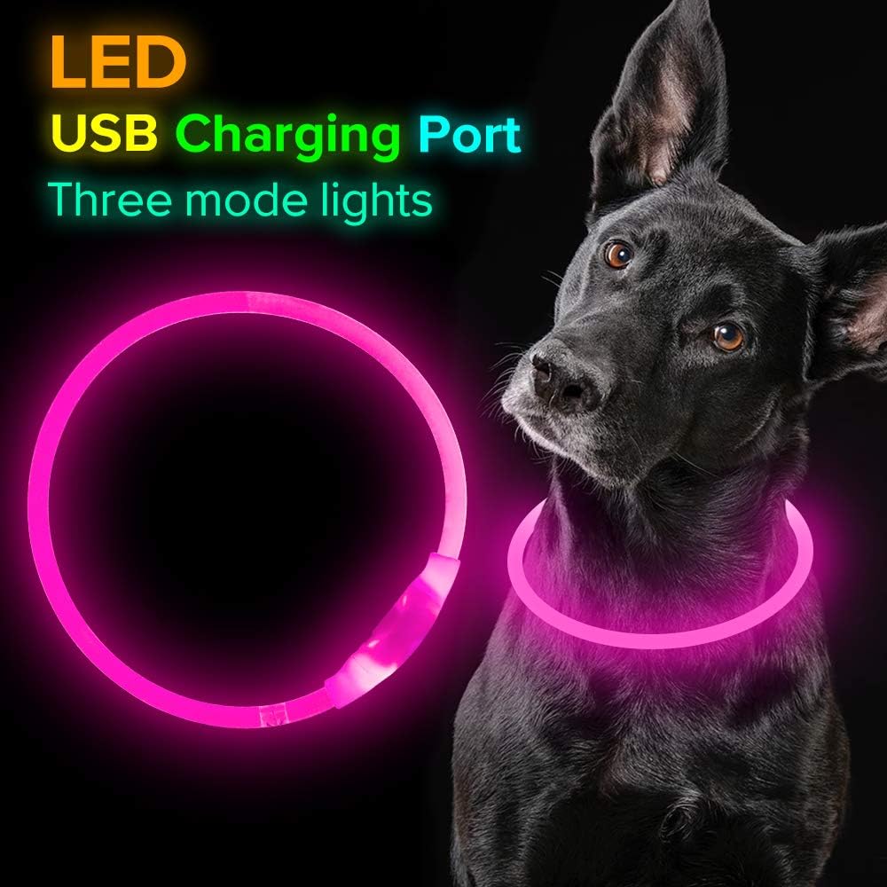 LED-Hundehalsband – Sicherheit &amp; Komfort | USB-Licht