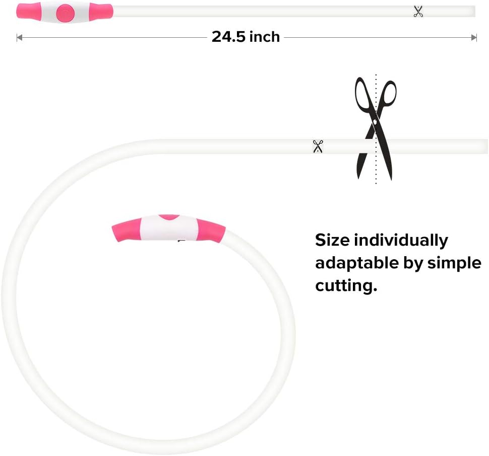 LED-Hundehalsband – Sicherheit &amp; Komfort | USB-Licht