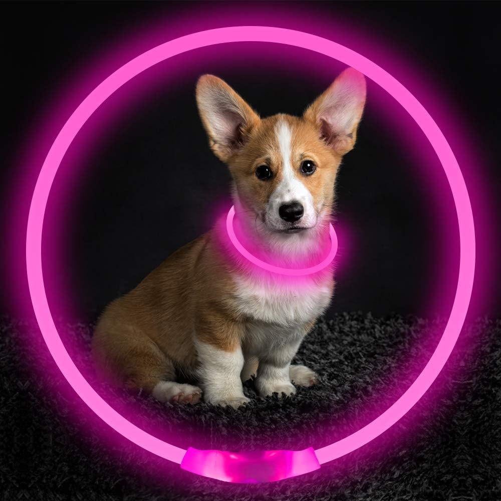 LED-Hundehalsband – Sicherheit &amp; Komfort | USB-Licht