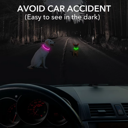 LED-Hundehalsband – Sicherheit &amp; Komfort | USB-Licht