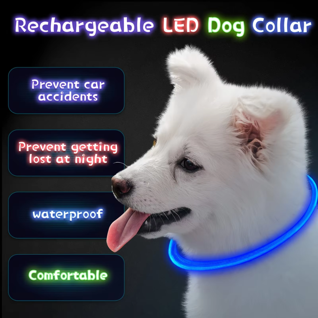 LED-Hundehalsband – Sicherheit &amp; Komfort | USB-Licht