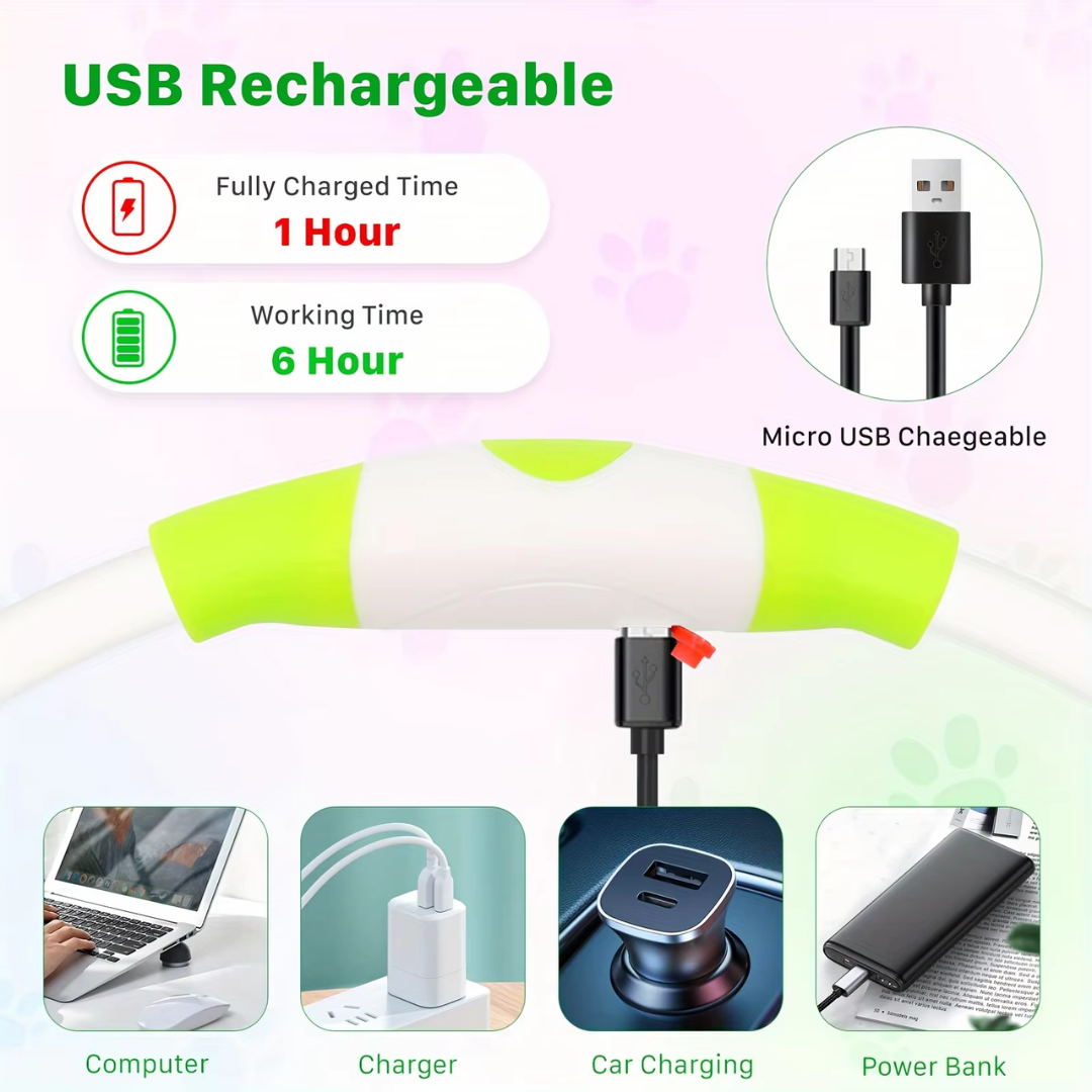 LED-Hundehalsband – Sicherheit &amp; Komfort | USB-Licht