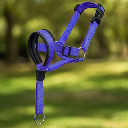 Hundehalfter gegen Ziehen – Verstellbar mit Leine für Gassi gehen