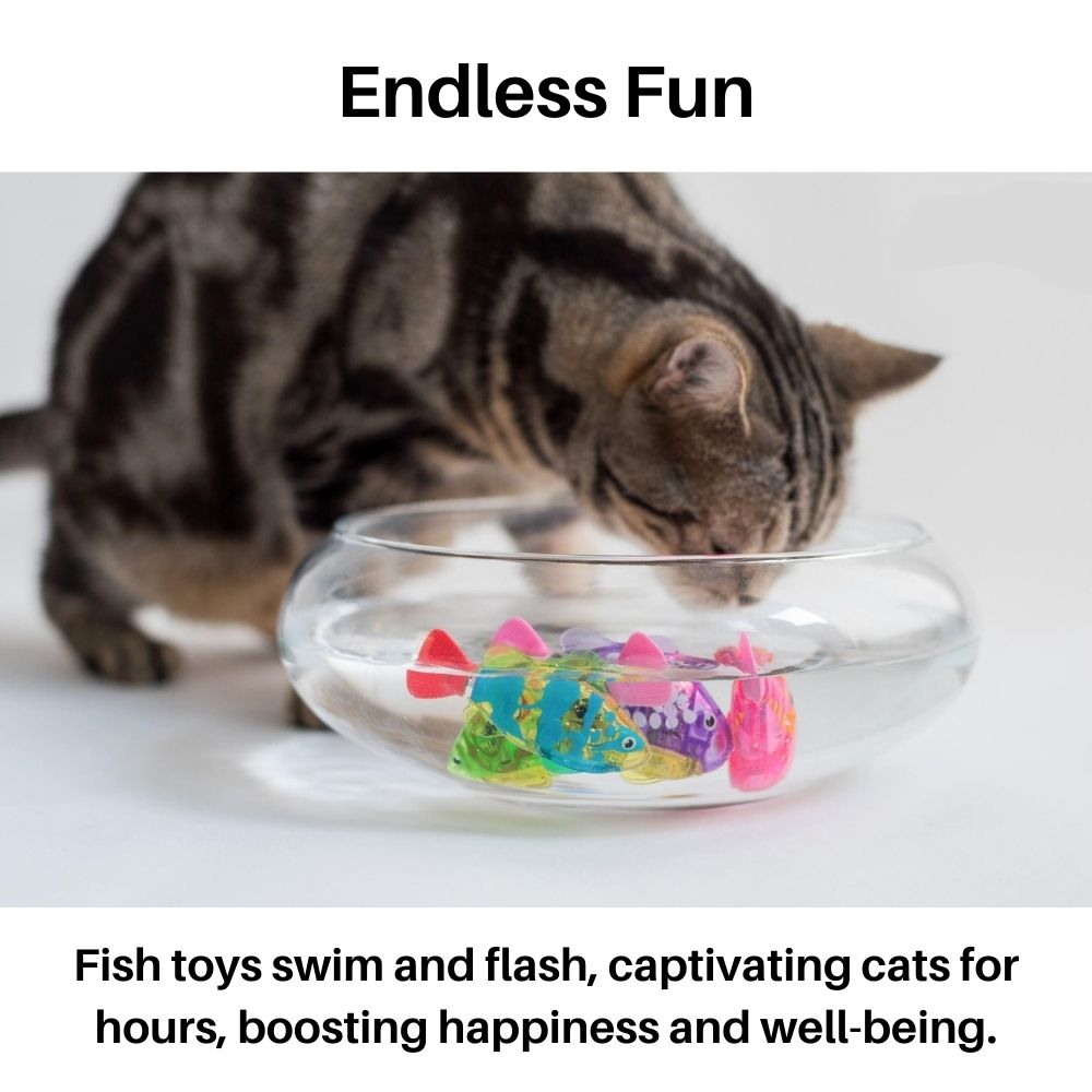 Katzen Spielzeugset - Interaktive Fische - Spaß