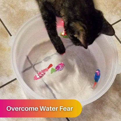 Katzen Spielzeugset - Interaktive Fische - Spaß