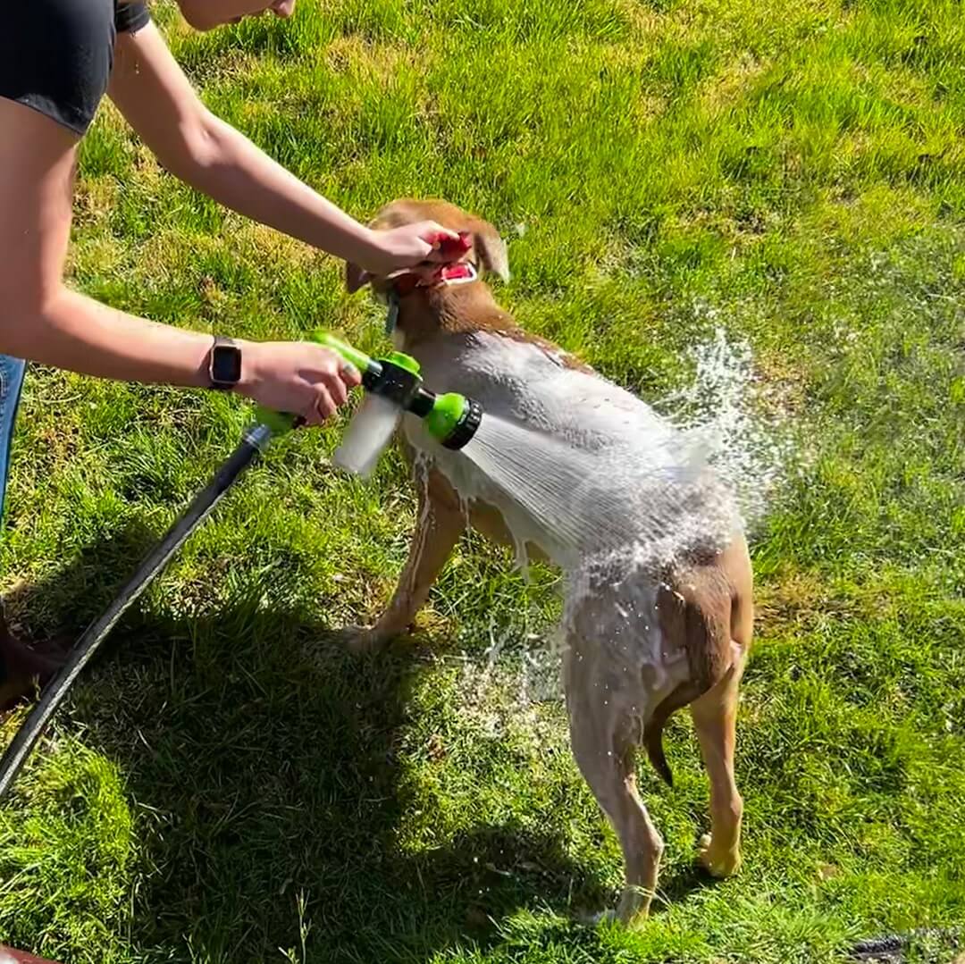 Hunde-Duschbrause für schnelles &amp; einfaches Waschen