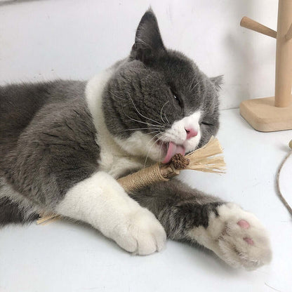 Katzen Kaustangen - 5er Set - Natürliches Silvervine