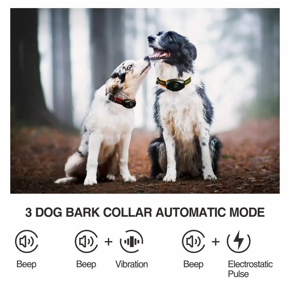 2 in 1 Hundetraining Halsband &amp; Anti-Bell Halsband