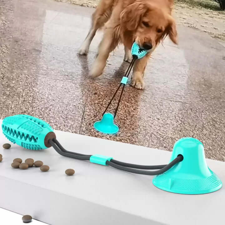 Robustes Hundezerrspielzeug mit Saugnapf