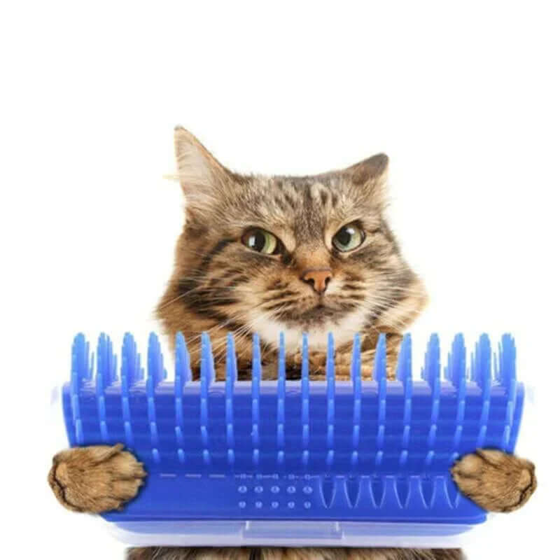 Katzen-Selbstpflegebürste für die Ecke