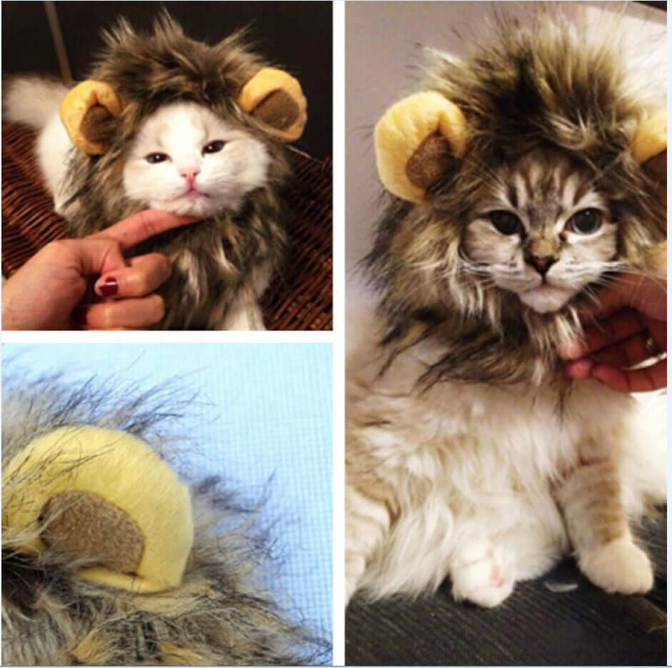 Katzen Löwenmähne, Haustier Kostüm Mähne