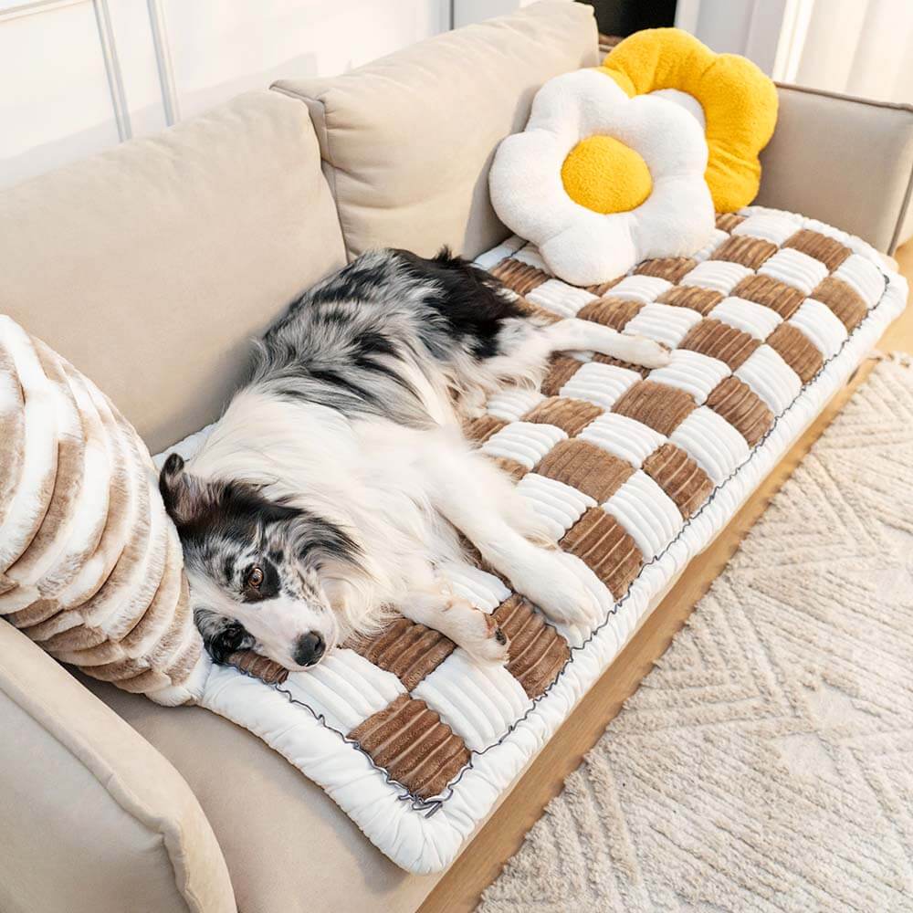 Kuscheldecke Haustier Sofa Möbelschutz Decke Chenille